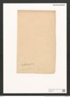 Pleurosigma scalproides Rab. (de-Toni-Nr.: Genus 13, Species 1098) Zeichnungen Sammlung Grunow (NHMW-BOT-W0369175)